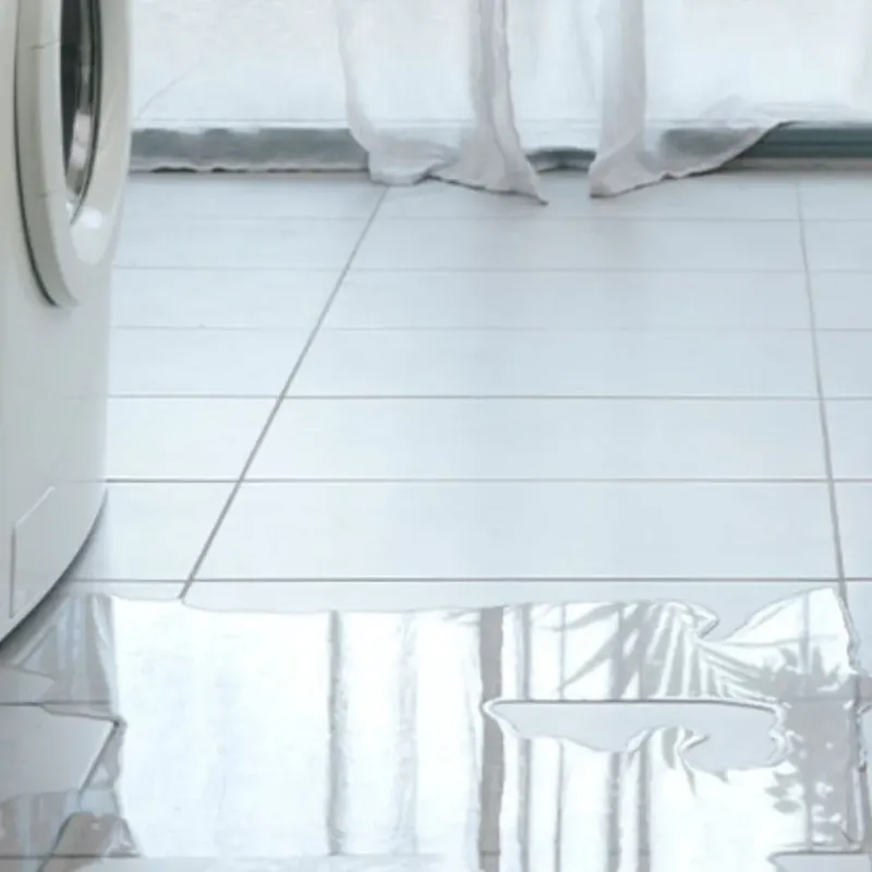 Appliance Leak Cleanup in Mandeville, LA